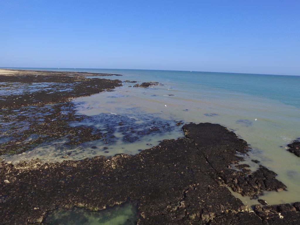 Chambres D'Hotes Le Grismoustier Veulettes-sur-Mer Luaran gambar